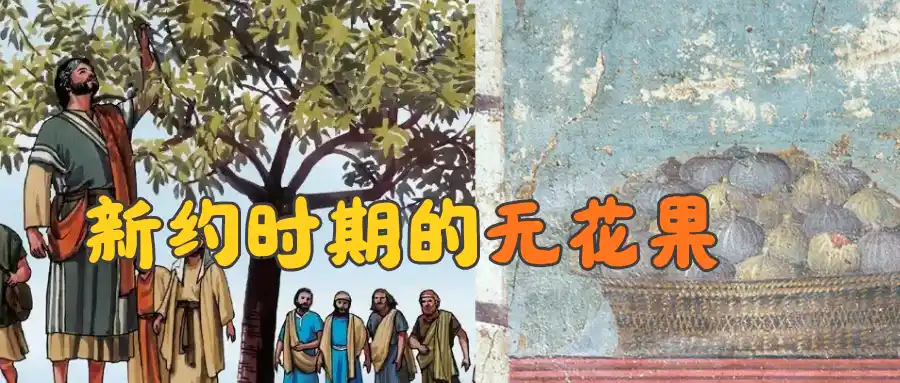 古典线索|010 新约时期的无花果