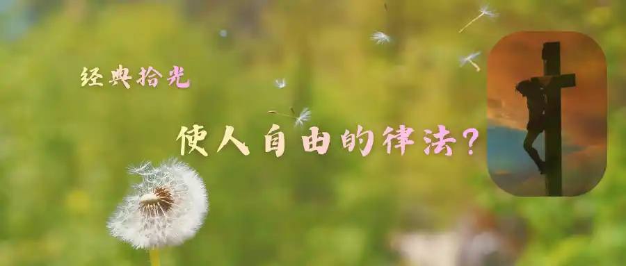 经典拾光 | 010 使人自由的律法？